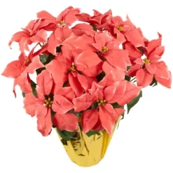 Northlight 20" Dark Pink Artificial Christmas Poinsettia With Gold Wrapped Base -Christmas Decorations GUEST 342355b9 6f8c 43a3 9692 e41fe2676709