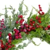 Northlight Frosted Red Berries Artificial Christmas Wreath - 26-Inch, Unlit 1 Northlight Frosted Red Berries Artificial Christmas Wreath - 26-Inch, Unlit -Christmas Decorations GUEST 642d9ccd 30ae 43b2 8a8b 8ec6943aac36