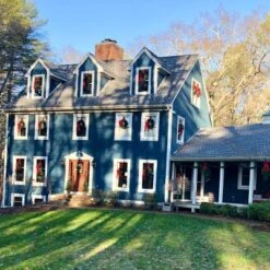 Northlight 24" Unlit Canadian Pine Artificial Christmas Wreath -Christmas Decorations GUEST 6cca1dfc a278 43b6 ab26 36d525bf9ff4