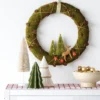 16" Battery Operated Lit Woodland Scene Moss Artificial Christmas Wreath Green - Wondershop™ -Christmas Decorations GUEST 7c316984 b06f 459c bf2d 93906bbb0203