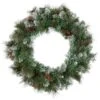 Northlight Snow Valley Pine Artificial Christmas Wreath, 24-Inch, Unlit -Christmas Decorations GUEST 8e101367 a27f 41dc ac02 8eb62ccf1ece