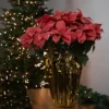 Northlight 28" Dark Pink Artificial Christmas Poinsettia With Gold Wrapped Base