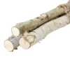 Northlight 38.5" Birch Wood Branch Bundle Christmas Display -Christmas Decorations GUEST abe83021 40a1 4968 b0e8 a9bf85ee3d07
