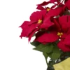 Northlight 20" Red Artificial Christmas Poinsettia With Gold Wrapped Pot -Christmas Decorations GUEST c465c6a7 5c13 45d9 9c5a c818be14e2d8