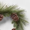 22in Unlit Iced Long Needle And Pinecone Artificial Christmas Wreath - Wondershop™ 2 22in Unlit Iced Long Needle And Pinecone Artificial Christmas Wreath - Wondershop™ -Christmas Decorations GUEST c4956641 0dd6 418e a250 4debc9d3b5b3